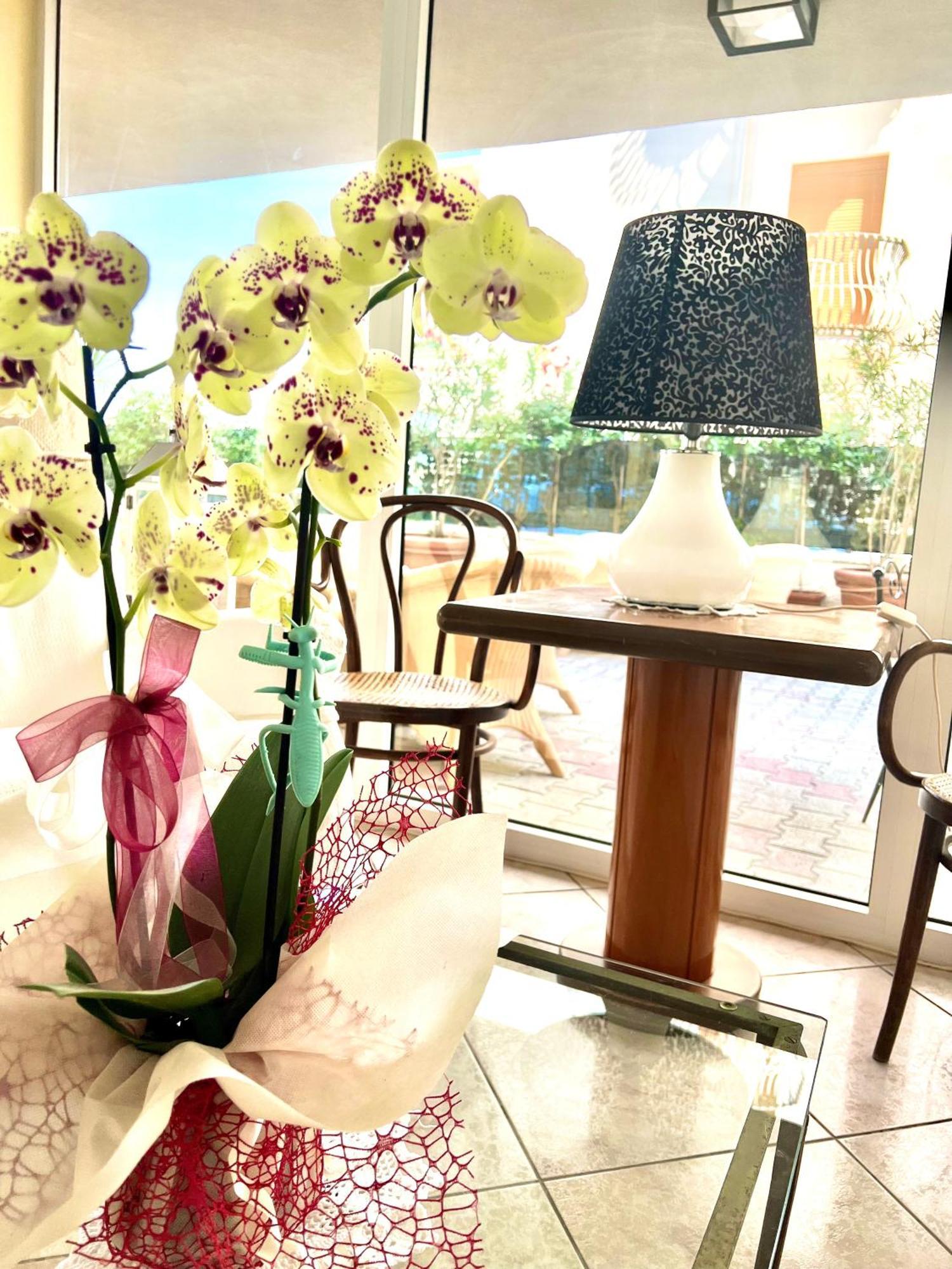 Hotel B&B Montecarlo Milano Marittima Ngoại thất bức ảnh